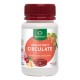 Lifestream Circulate 60 Vegetarian Capsules