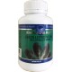 Kiwi Natural Health Green Lipped Mussel 500mg 180 / 500 Capsules