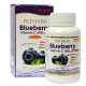 Hi Well Blueberry Vitamin C 500 - 60 Chewable Tablets